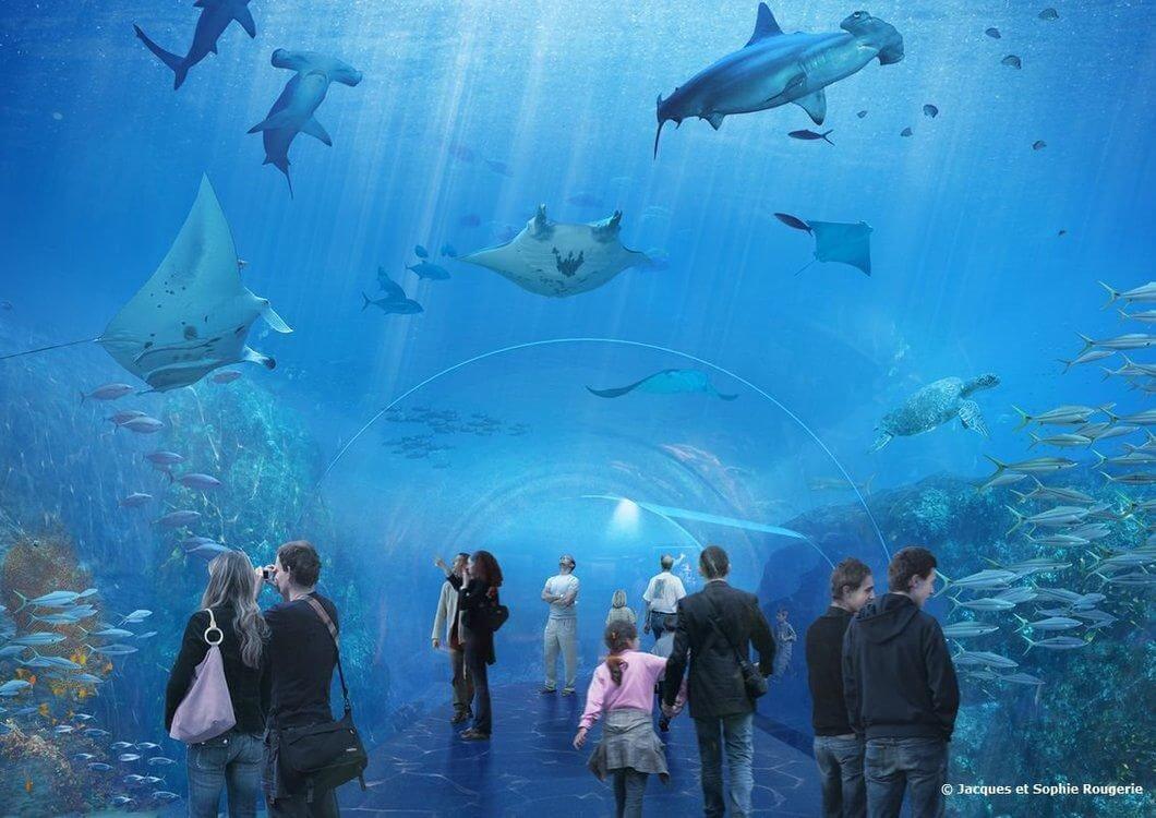 Vue d'artiste du grand bassin de Nausicaá avec raies manta, requins marteaux et visiteurs, à Boulogne-sur-Mer
